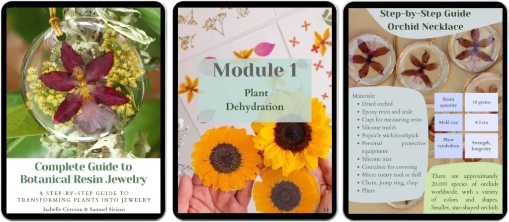 Botanical Guide - Joias Botânicas