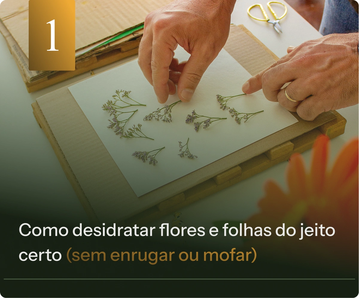 PASSO 1_resultado12